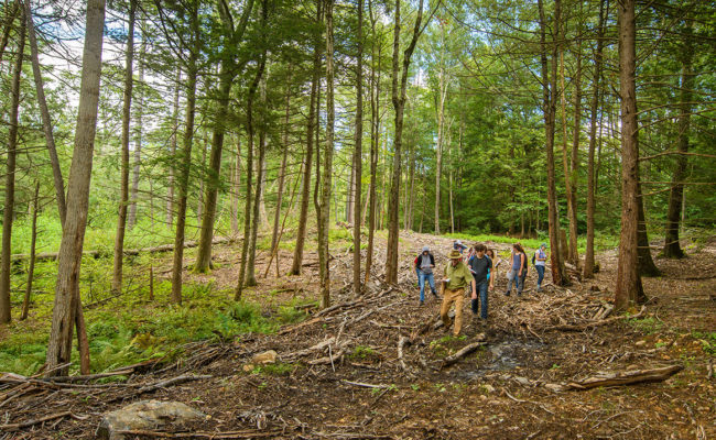 students in forest with trees lying down