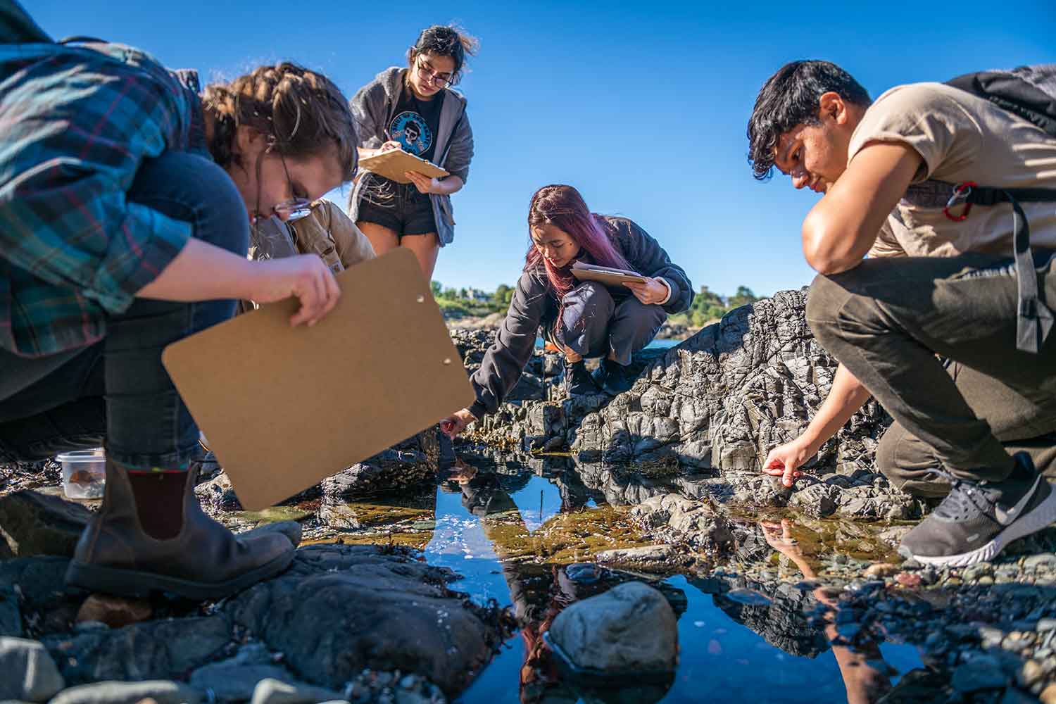 Biology students recording their observations about plants and animal life on the shore in Nahant, MA