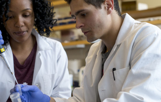 Student working in lab with biologist
