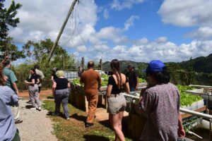 Community Development students viewing raised garden beds on an international research trip.